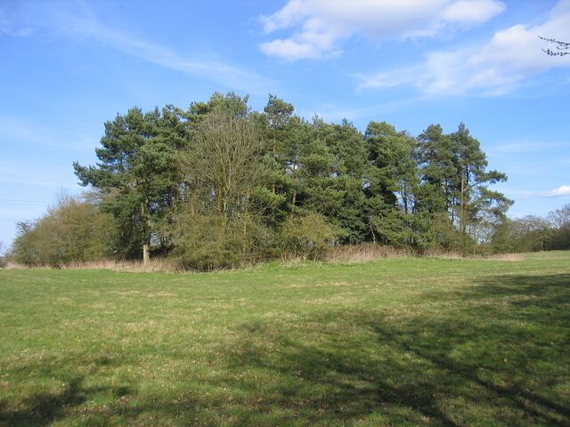 Tunnel waste, Wast Hills This small cluster of trees has grown around the shaft and excavations from the Worcester and Birmingham Canal Wast Hill tunnel which runs directly underneath.