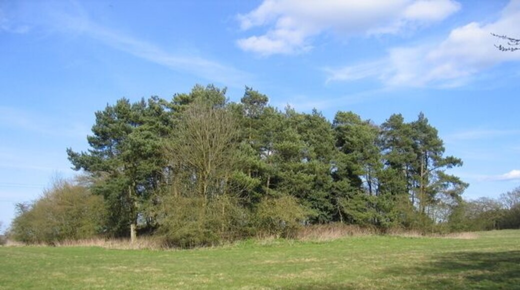 Tunnel waste, Wast Hills This small cluster of trees has grown around the shaft and excavations from the Worcester and Birmingham Canal Wast Hill tunnel which runs directly underneath.