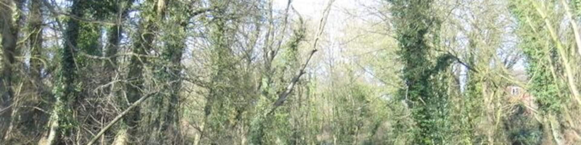 Light at the end of the tunnel The light is actually the headlight of the narrowboat about to emerge from 151865. The tunnel is 2493 metres long and even from a boat entering the tunnel the far end is little more than a pin-prick of light in the distance.
