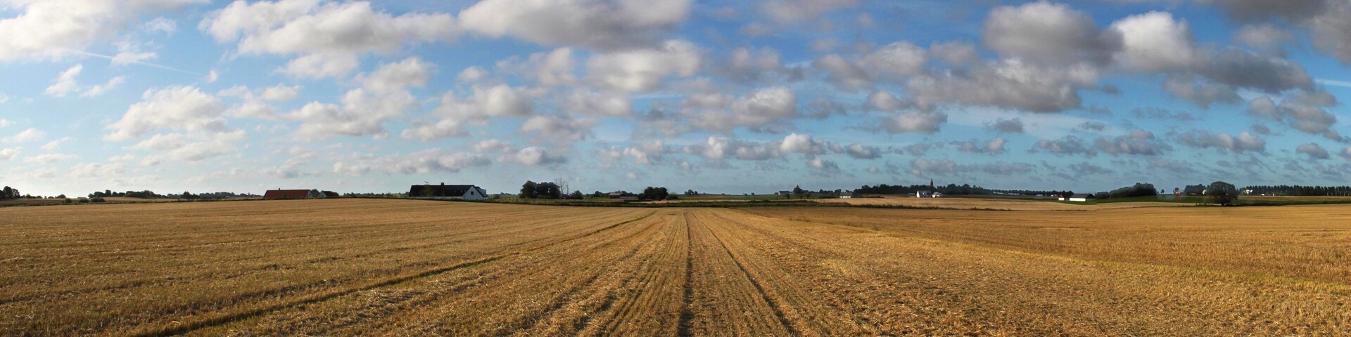 abgeerntetes goldenes Getreidefeld auf einer Ebene bei Vellinge in der Provinz Skåne / Schonen im Süden von Schweden