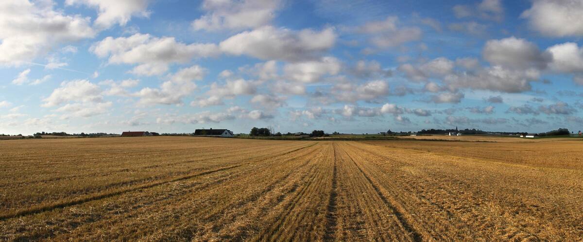 A vast, harvested field with a clear sky and scattered clouds.