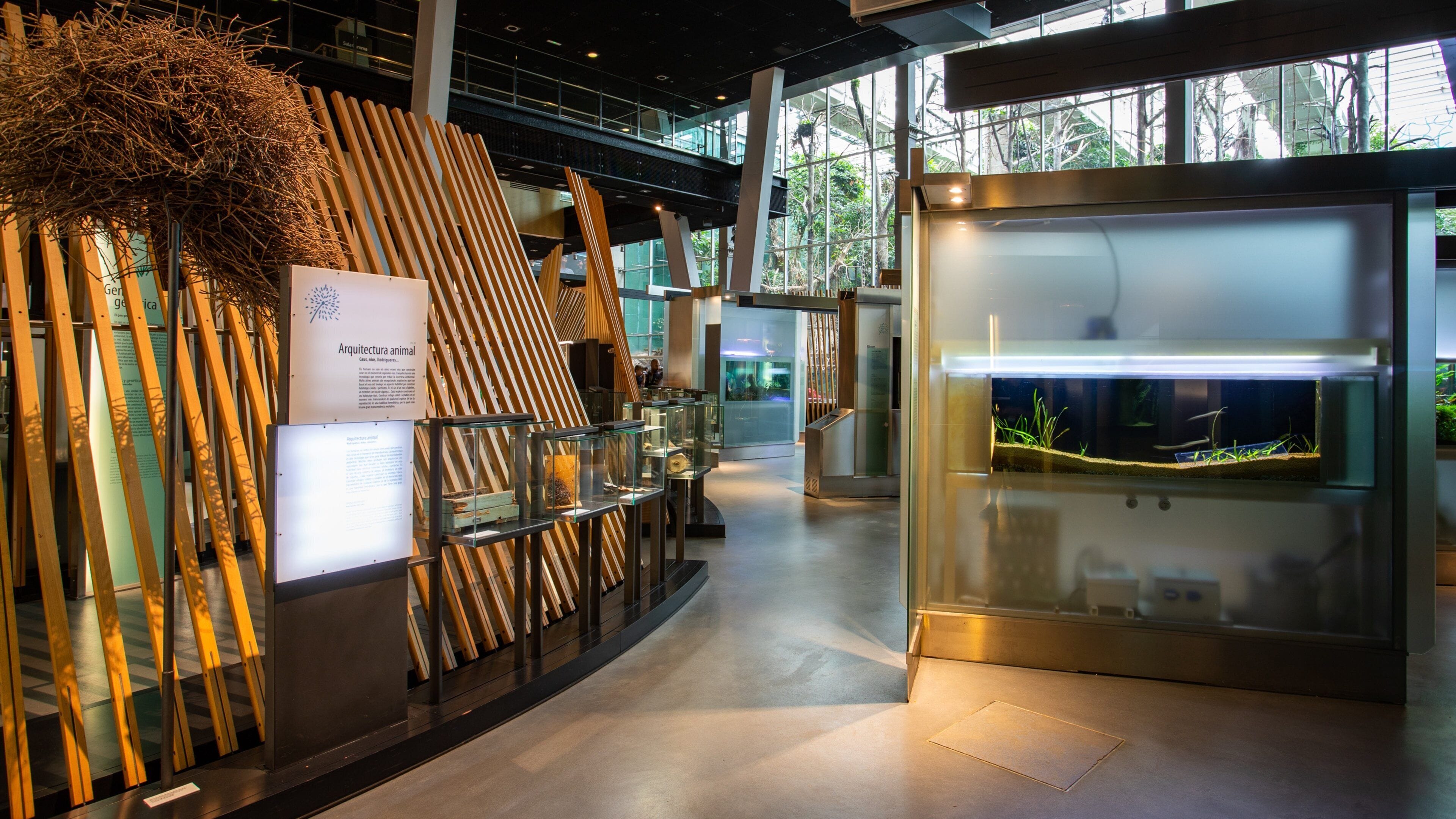 CosmoCaixa which includes interior views