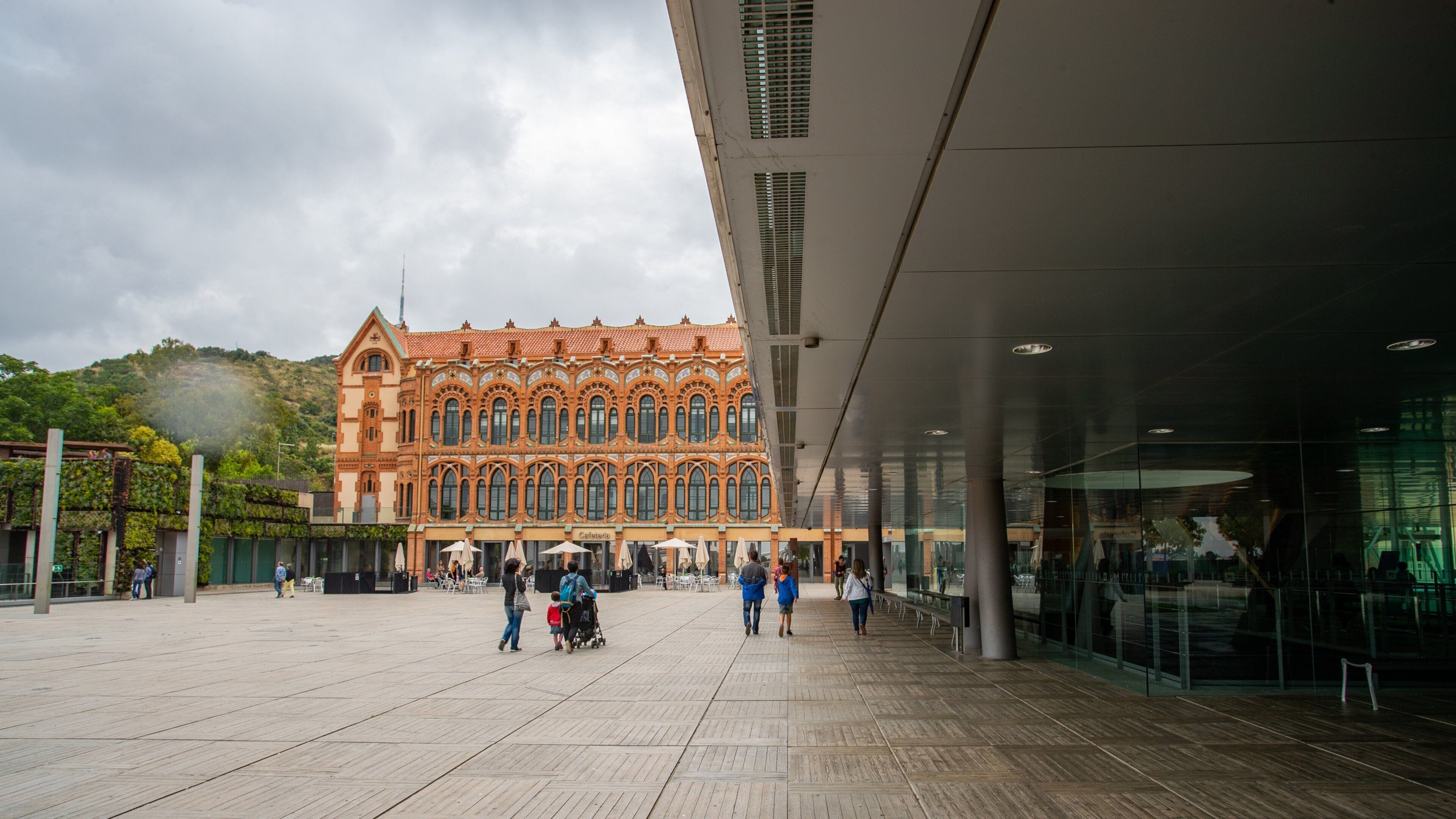 CosmoCaixa featuring a square or plaza