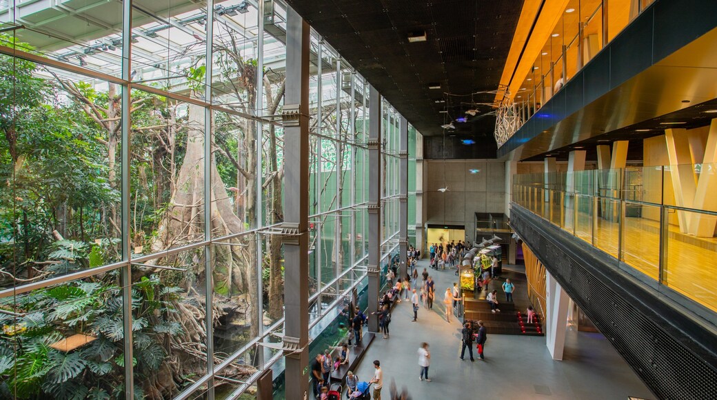 CosmoCaixa which includes interior views as well as a small group of people