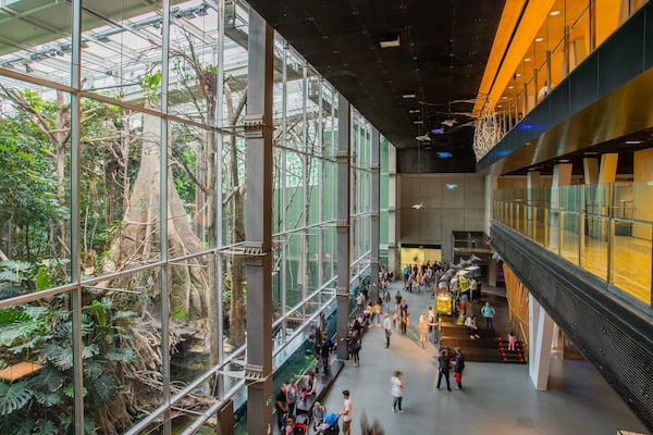 CosmoCaixa which includes interior views as well as a small group of people