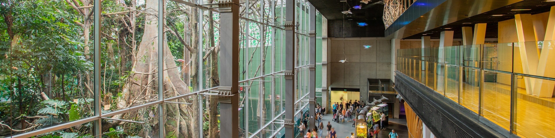 CosmoCaixa which includes interior views as well as a small group of people