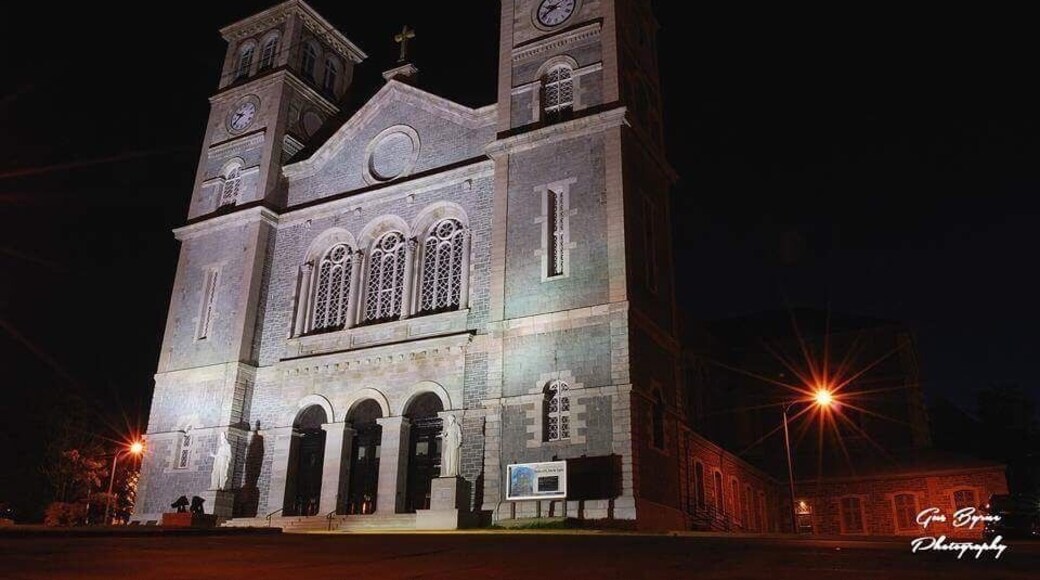#instone. This historic church that stands as a symbol of Roman Catholicism in Newfoundland was build between 1839 and 1855. It is a key feature of the St. John’s skyline.