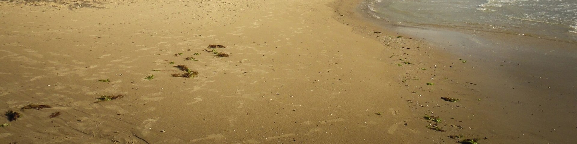 I remember walking along the beach in north #Jutland, close to the small Danish town of Lønstrup. An eroding coast line has caused the cliffs to recede, and so, atop the cliffs there were several abandoned structures. Staring out into the North Sea on that windy day was a surreal experience and reminded me that the world can open up opportunities in funny ways. A year earlier, I met some people at a course in Ann Arbor, Michigan. We were all from different cities and areas of the world. A year later, we found ourselves in northern #Denmark. Life is a funny thing.
#Europe #Travel #Lonstrup