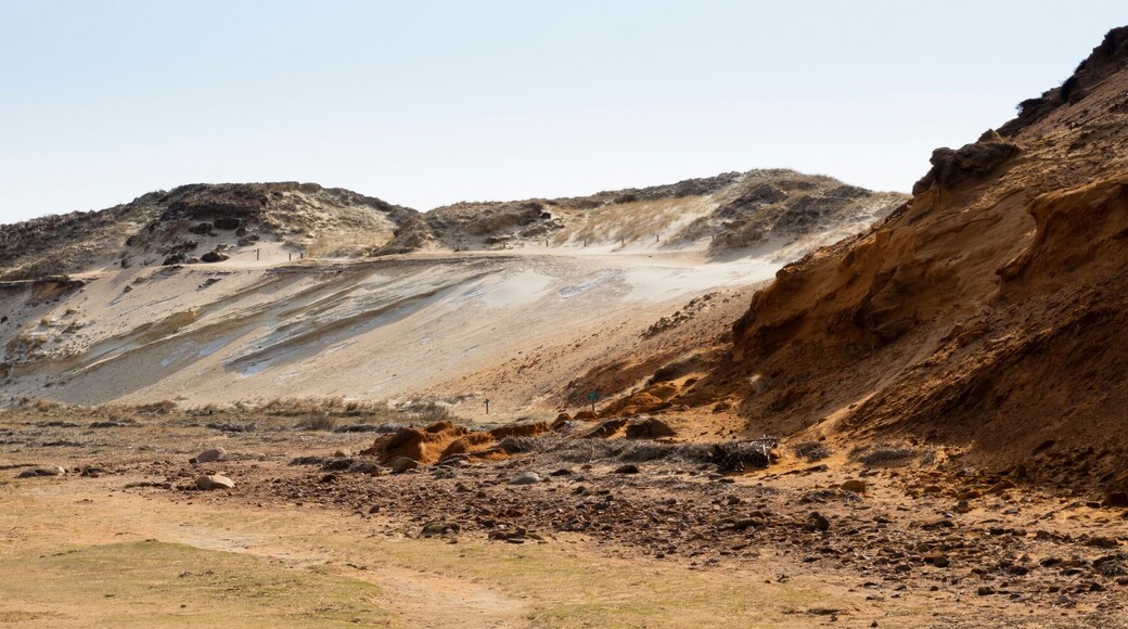 Naturschutzgebiet Morsum Kliff, Steilküste, Morsum, Sylt, Nordfriesische Insel, Nordfriesland, Schleswig-Holstein, Deutschland, Europa