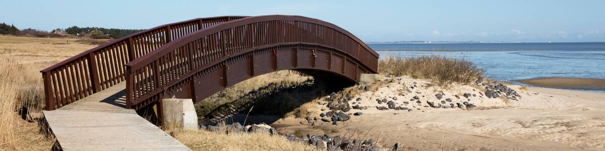 Holzweg und Holzbrücke bei Munkmarsch, Nationalpark Schleswig-Holsteinisches Wattenmeer, Sylt, Nordfriesische Insel, Nordfriesland, Schleswig-Holstein, Deutschland, Europa