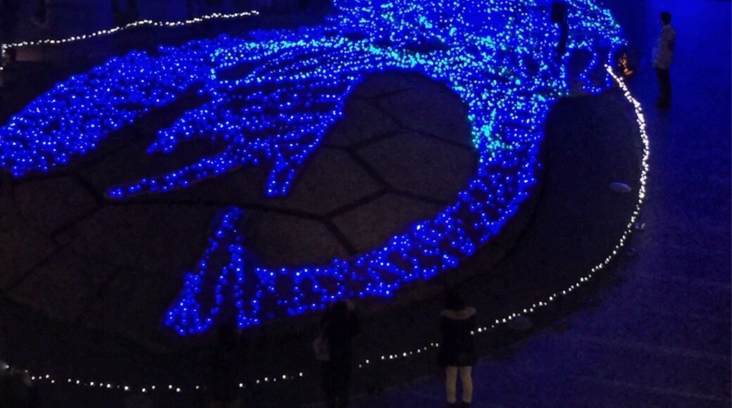 This was the most beautiful Christmas light show seen in Tokyo this year.
#BVSBlue