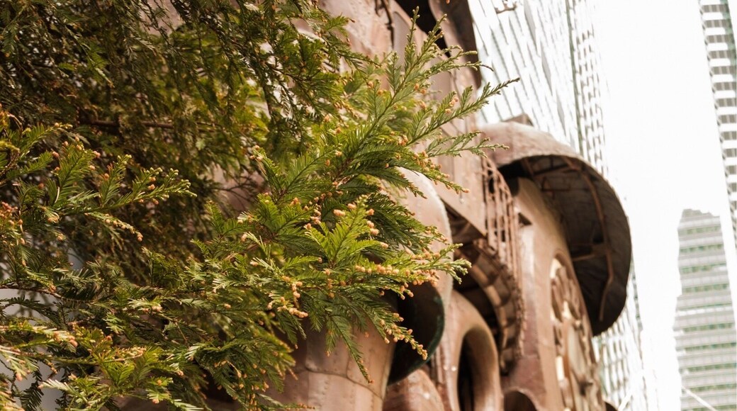 There’s a working model of the castle from Howl’s Moving Castle on the side of the mall!