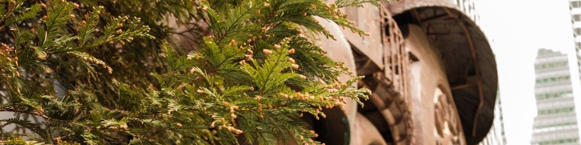 There’s a working model of the castle from Howl’s Moving Castle on the side of the mall!