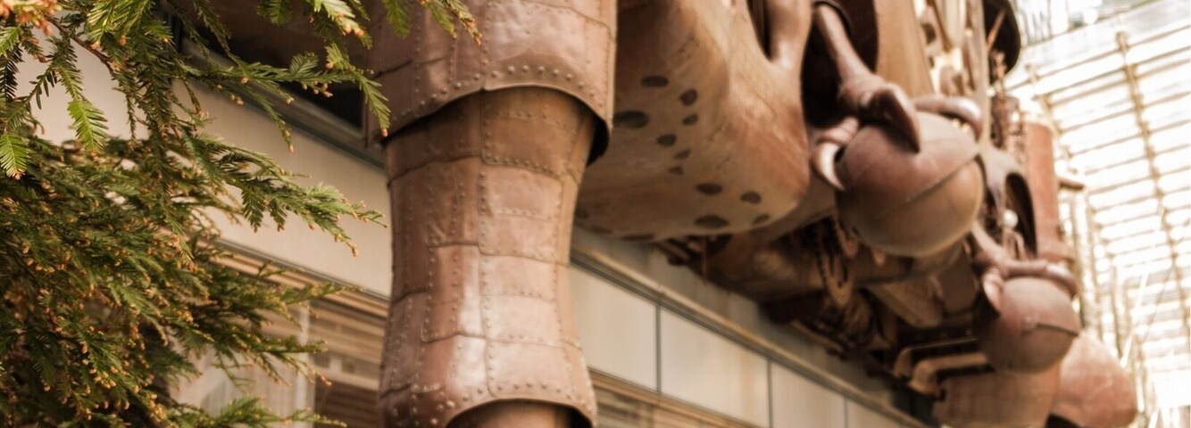 There’s a working model of the castle from Howl’s Moving Castle on the side of the mall!