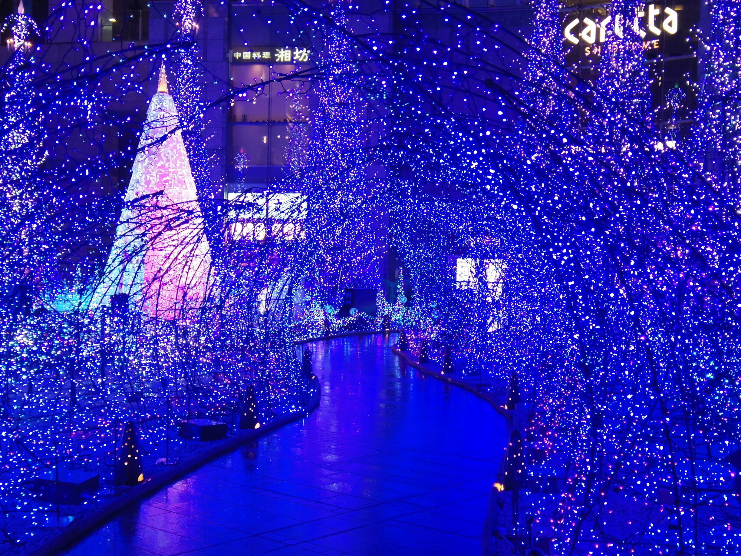 Caretta Shiodome building always goes all out on their holiday decorations and this year is no different. "Canyon d'Azur" uses over 250 thousand LED lights for our pleasure, from 5-11pm every night until Jan 12, 2015.