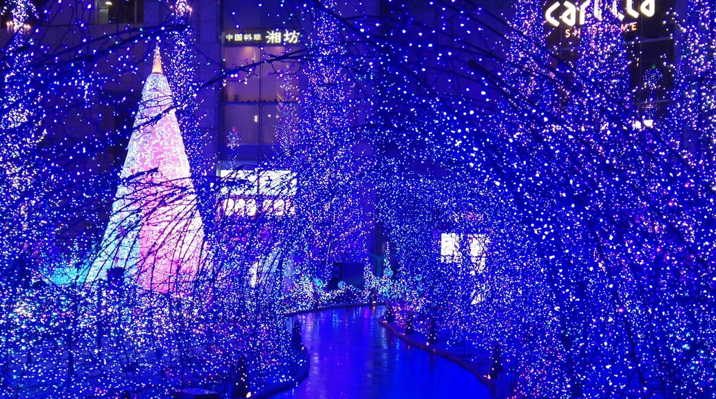 Caretta Shiodome building always goes all out on their holiday decorations and this year is no different. "Canyon d'Azur" uses over 250 thousand LED lights for our pleasure, from 5-11pm every night until Jan 12, 2015.