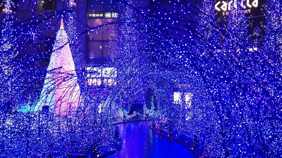 Caretta Shiodome building always goes all out on their holiday decorations and this year is no different. "Canyon d'Azur" uses over 250 thousand LED lights for our pleasure, from 5-11pm every night until Jan 12, 2015.