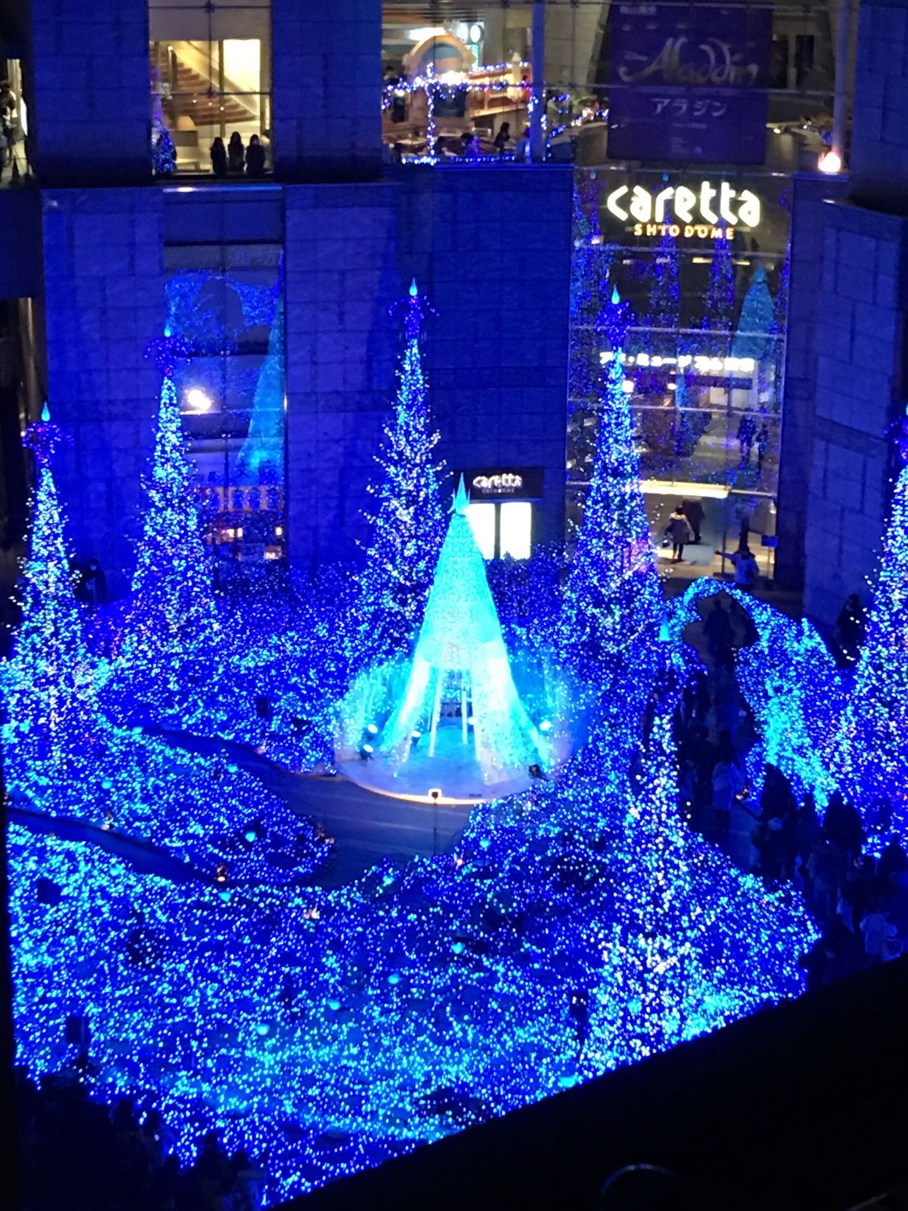 Lovely Xmas lighting outside a shopping mall in Shiodome. I ended having a really good French dinner from the top of this building (50+ floors).
#blue