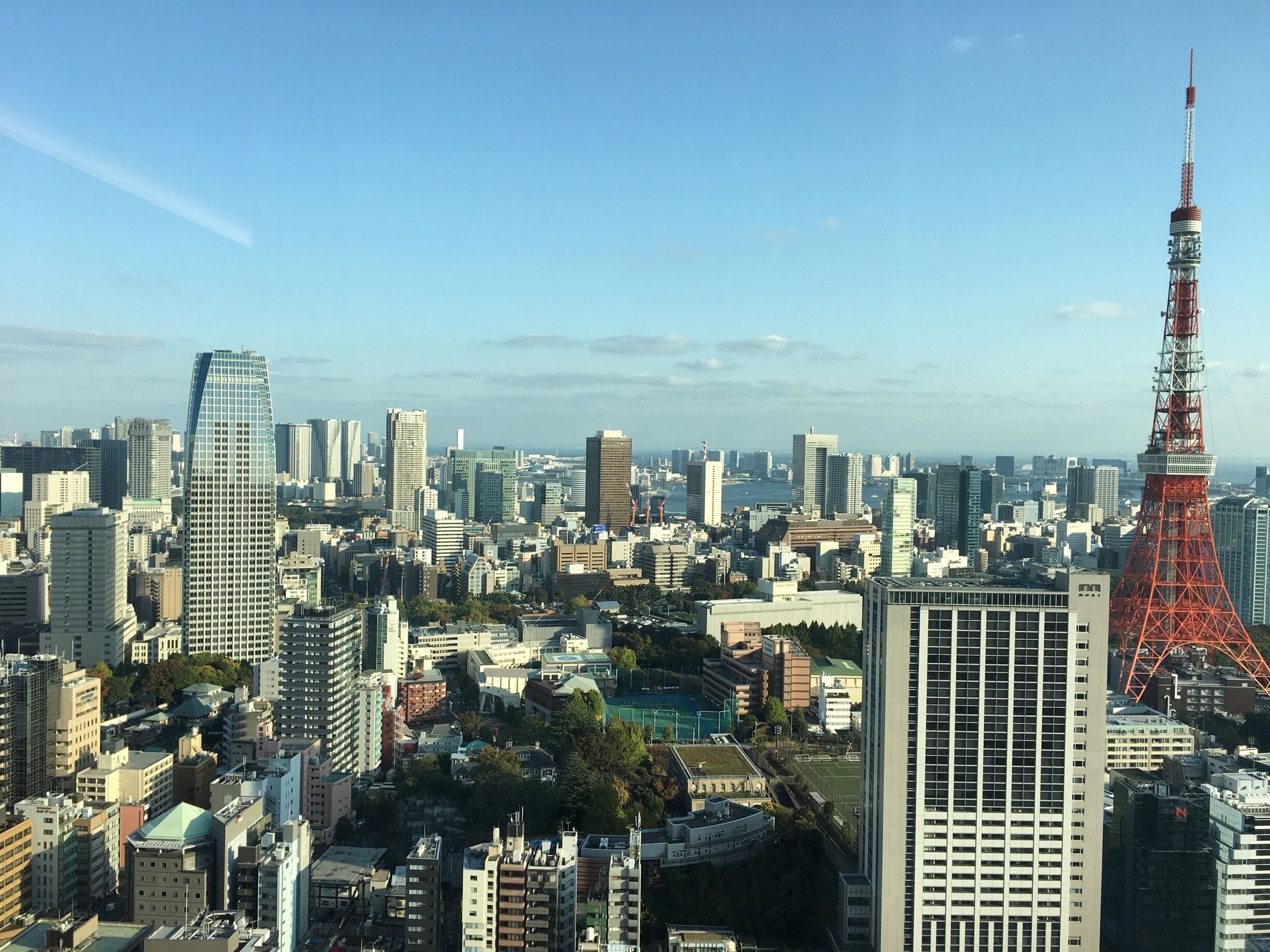 How about that skyline! #tokyo #skyline #merch