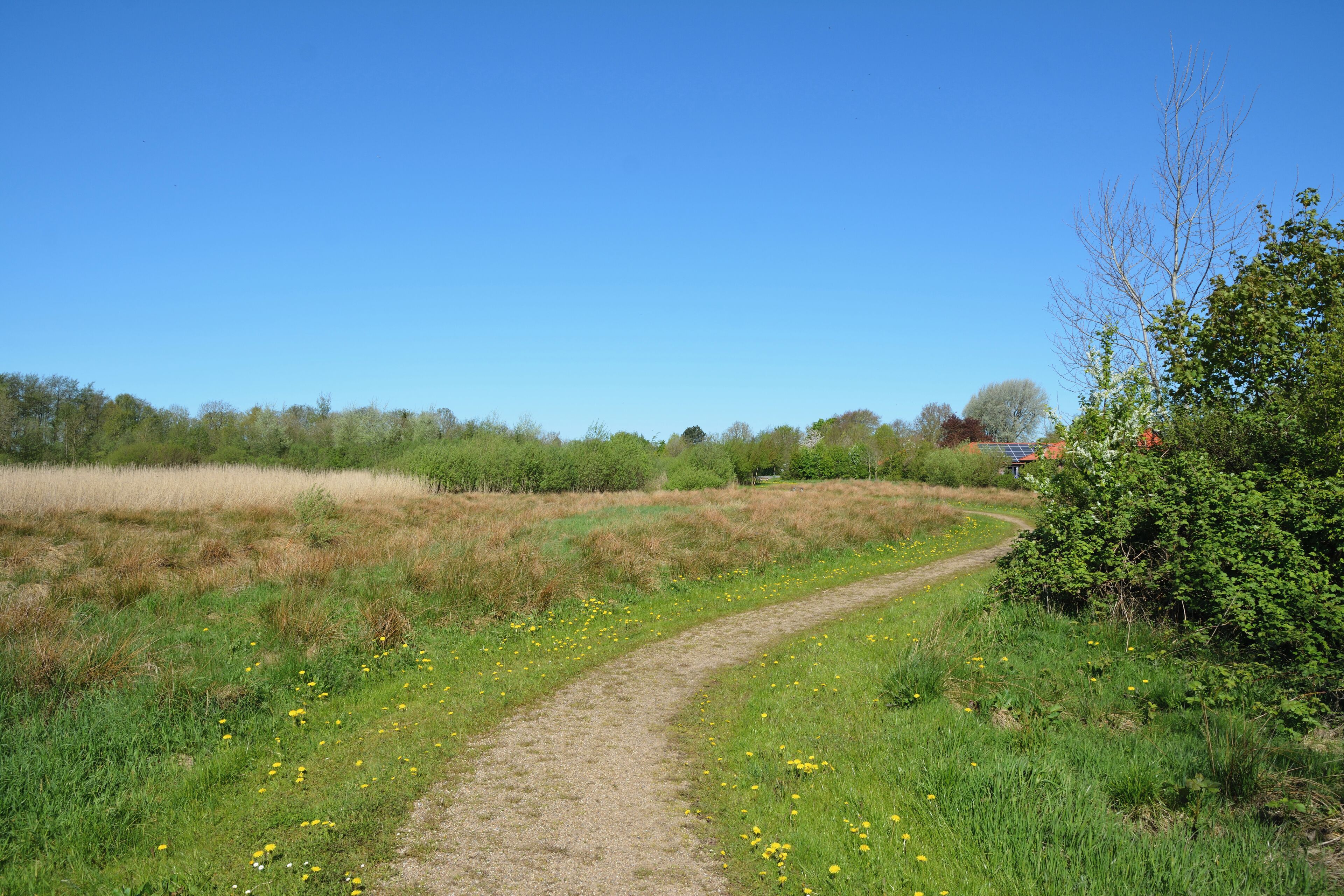 Impressionen aus dem Naturerlebnisraum "Wätj Lönj" in Risum-Lindholm