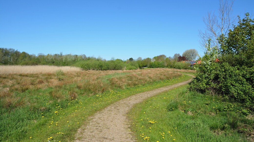 Impressionen aus dem Naturerlebnisraum "Wätj Lönj" in Risum-Lindholm