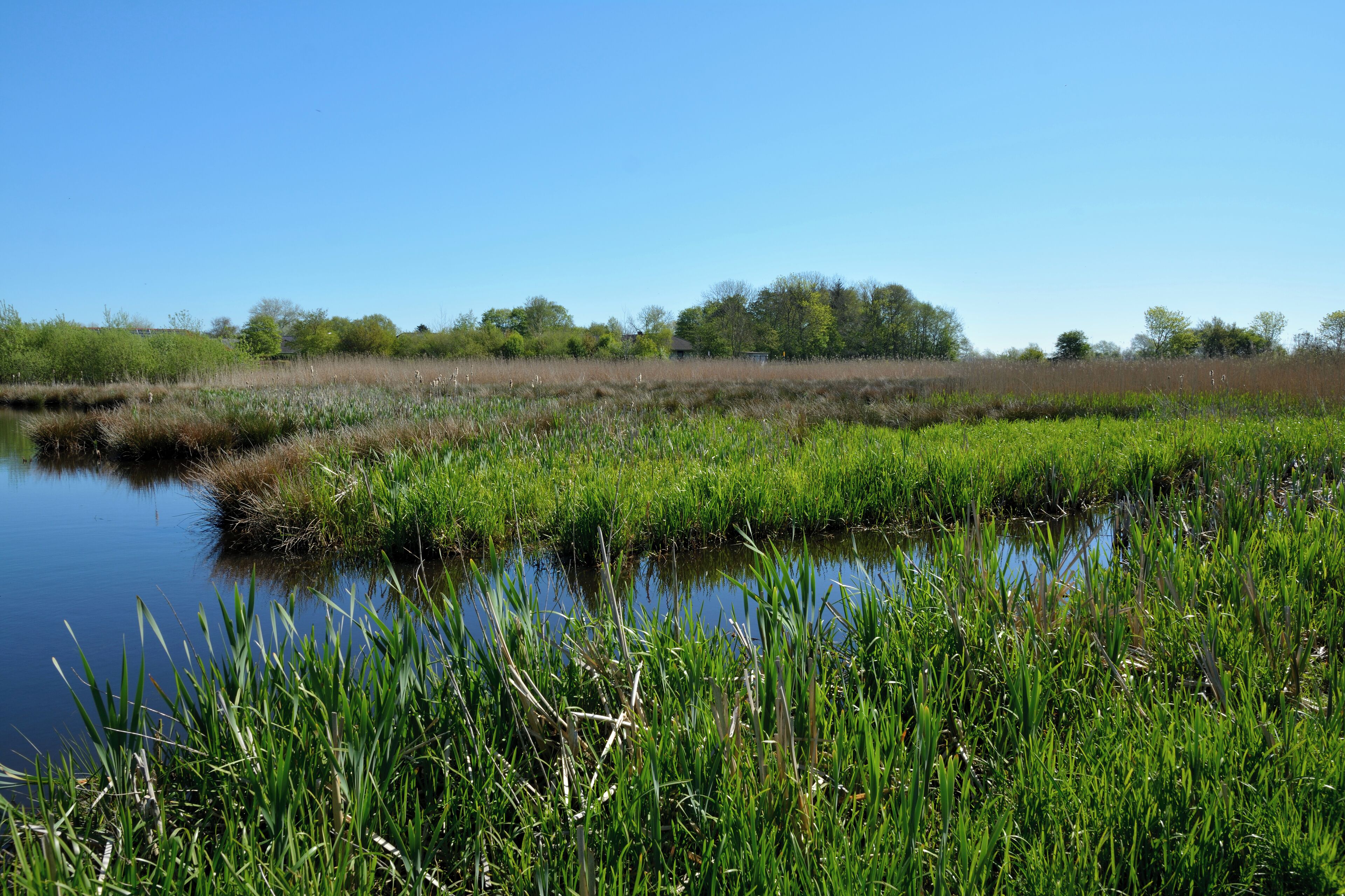 Impressionen aus dem Naturerlebnisraum "Wätj Lönj" in Risum-Lindholm