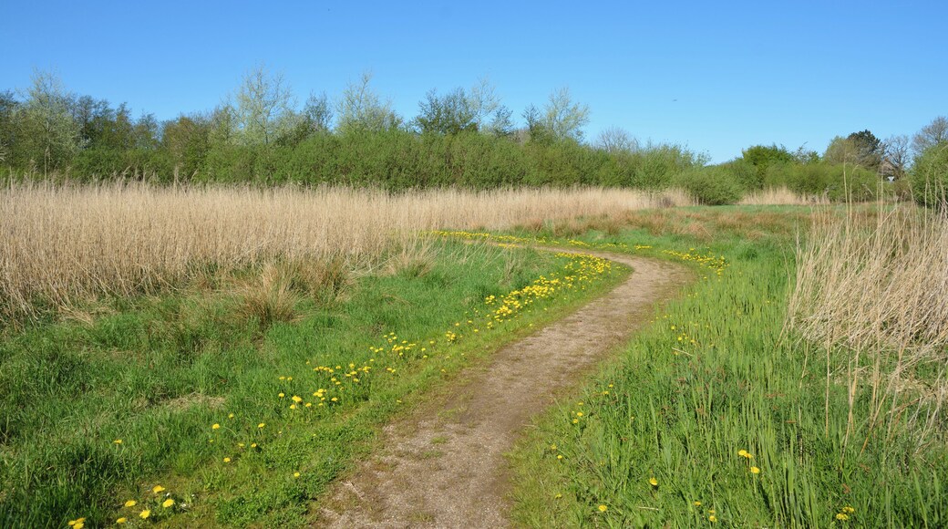 Impressionen aus dem Naturerlebnisraum "Wätj Lönj" in Risum-Lindholm