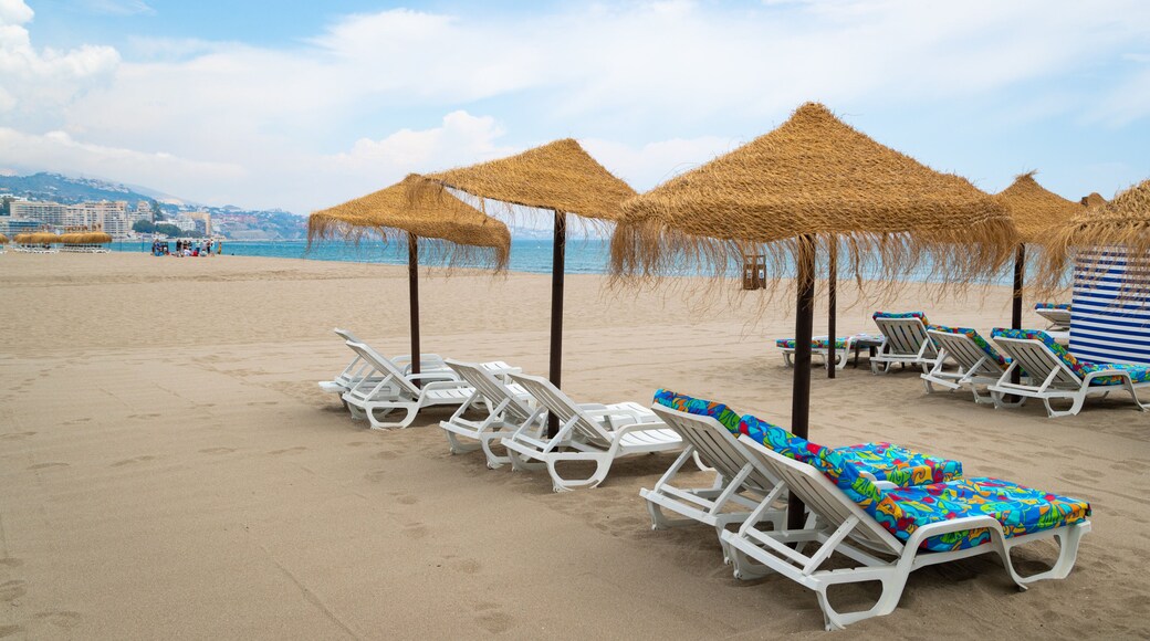 Las Gaviotas Beach featuring a beach, general coastal views and tropical scenes