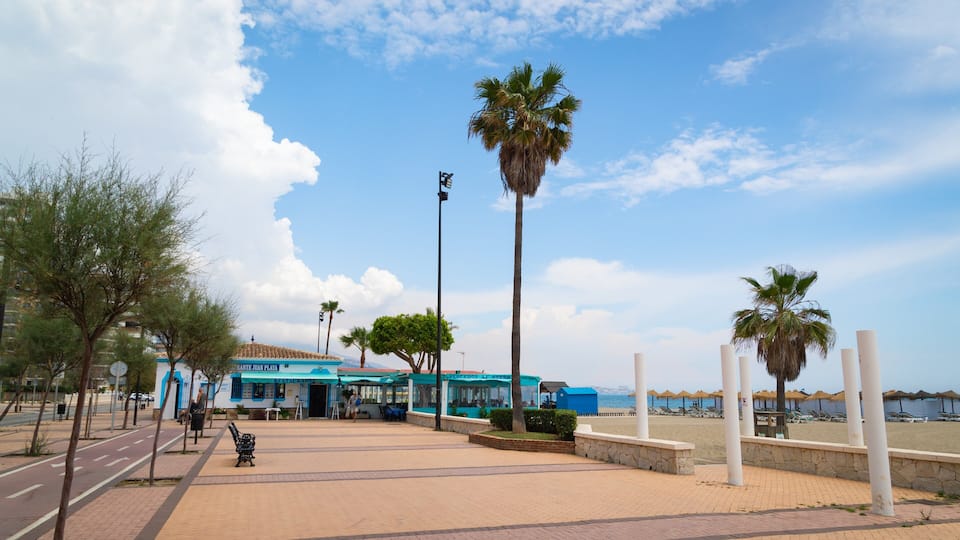 Las Gaviotas Beach showing general coastal views