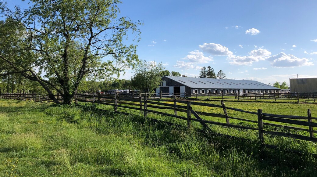 Caumsett State Historic Park Preserve