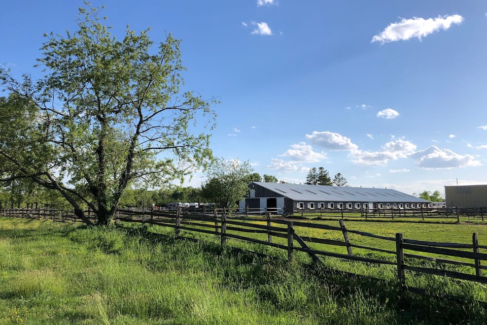 A rural landscape with a barn, a fenced pasture, and a large tree.