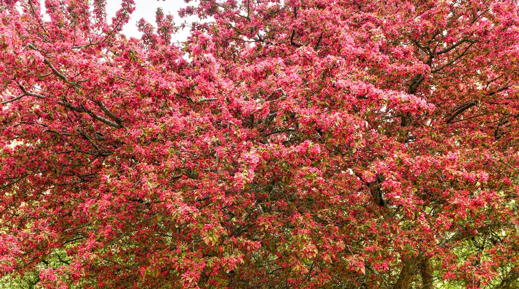 Planting Fields Arboretum State Historic Park