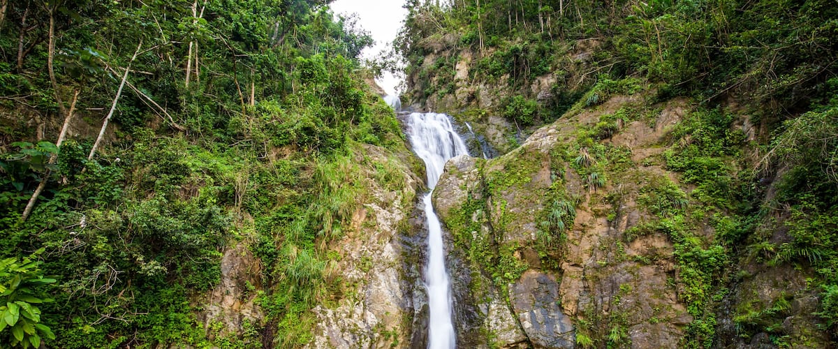 A waterfall cascading down a rocky cliff surrounded by lush greenery.