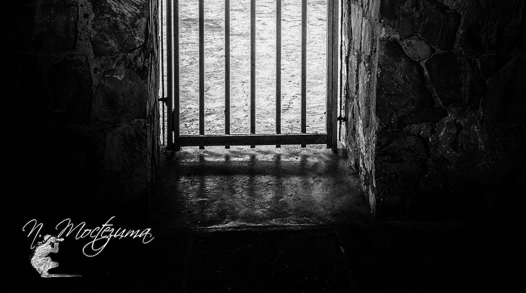 Inside Torre de Piedra @ Monte del Estado, Maricao, P.R.