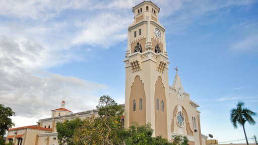 Yauco