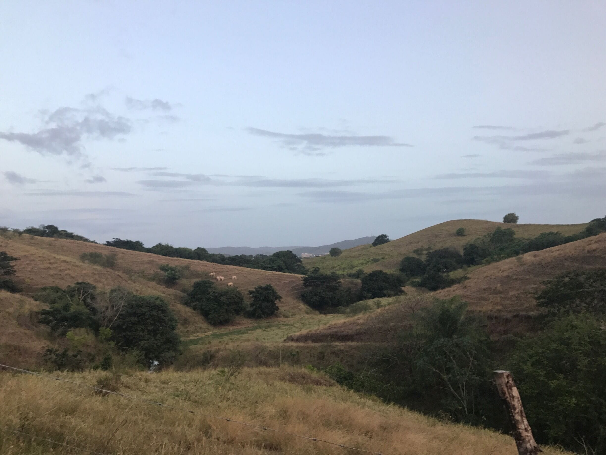 Rolling hills with sparse vegetation and a few scattered trees.