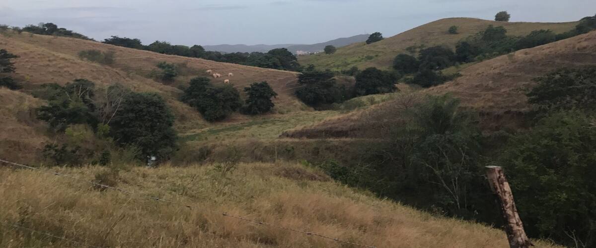 Rolling hills with sparse vegetation and a few scattered trees.