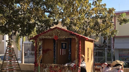 Central plaza decorated for Christmas.