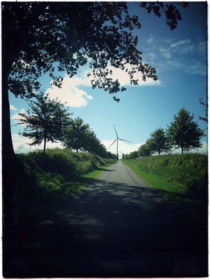 Countryside, Broskov, Denmark. Near by is the oldest, most beautiful piece of ancient road in Denmark, dating back to around year 300-400.