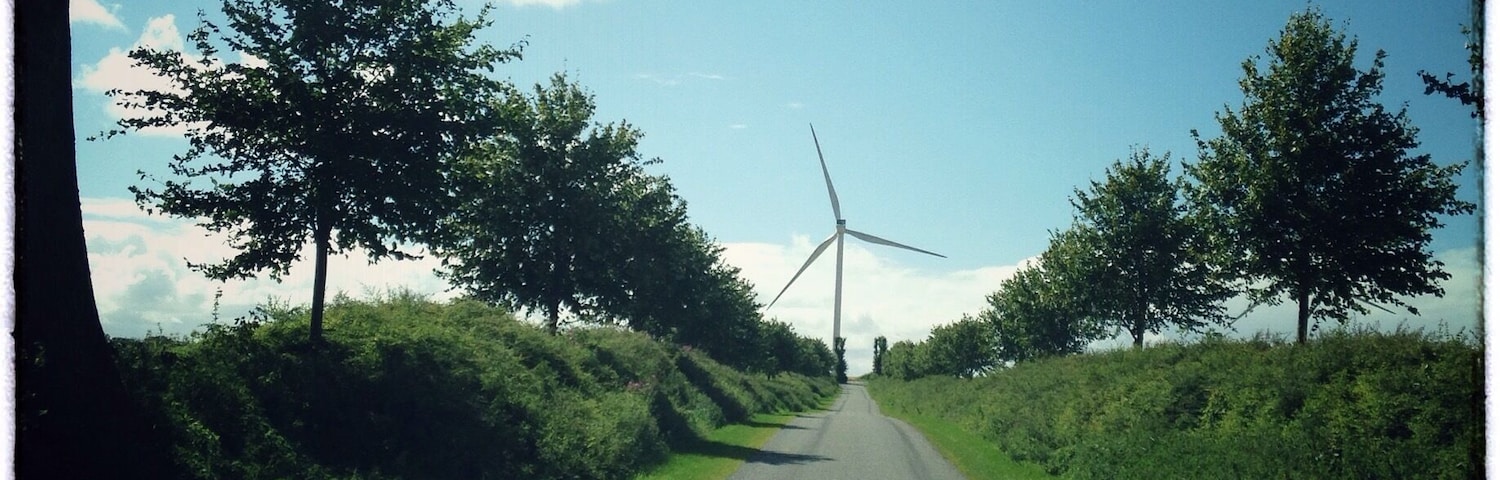 Countryside, Broskov, Denmark. Near by is the oldest, most beautiful piece of ancient road in Denmark, dating back to around year 300-400.