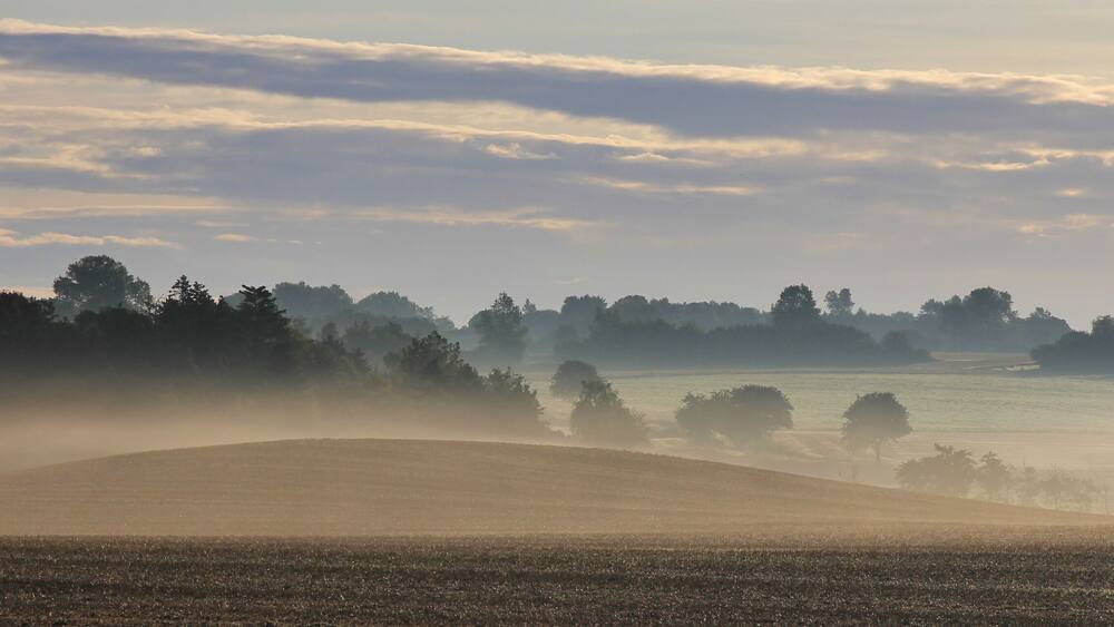 Misty fields on a summer morning in Sjaellan, Denmark.