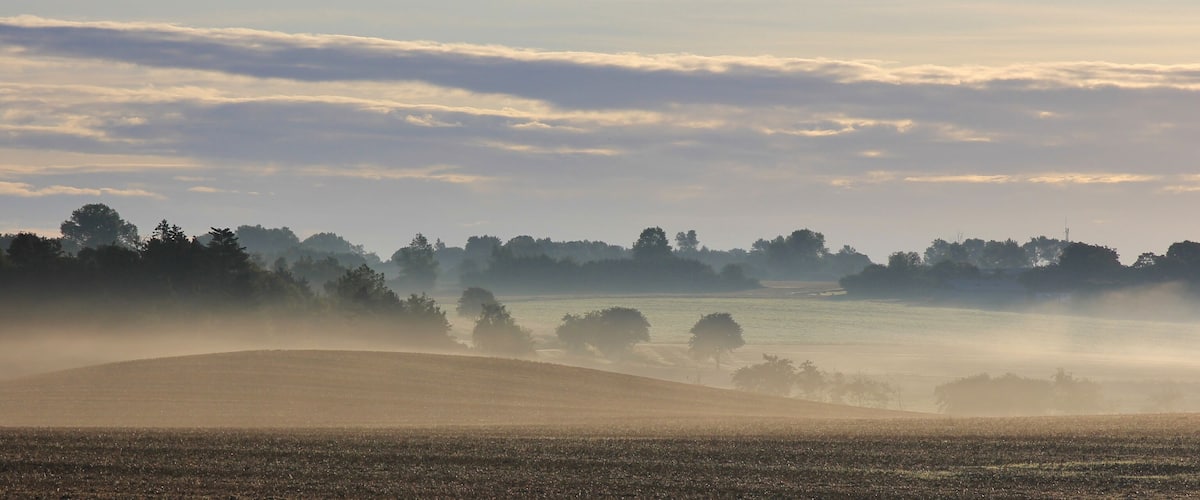 A misty landscape with rolling hills and a line of trees in the distance.