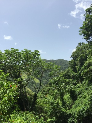 Here we thought we were lost ...but we never were... The lush green mountains always watched over us...