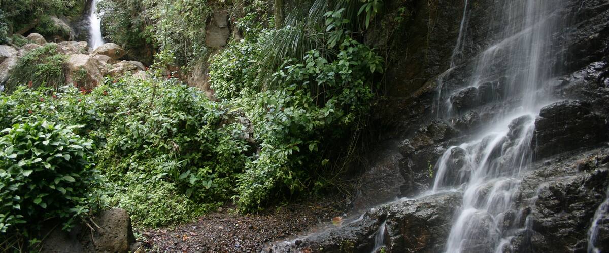 A waterfall cascading down a rocky cliff surrounded by dense greenery.
