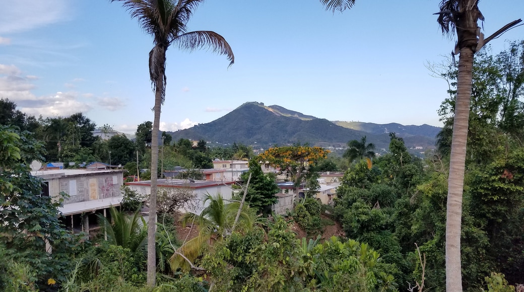 A view from Alba's mom's front porch. Beautiful view, but the drive to get here is awful.