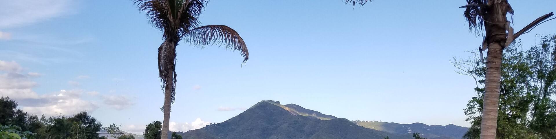 A view from Alba's mom's front porch. Beautiful view, but the drive to get here is awful.