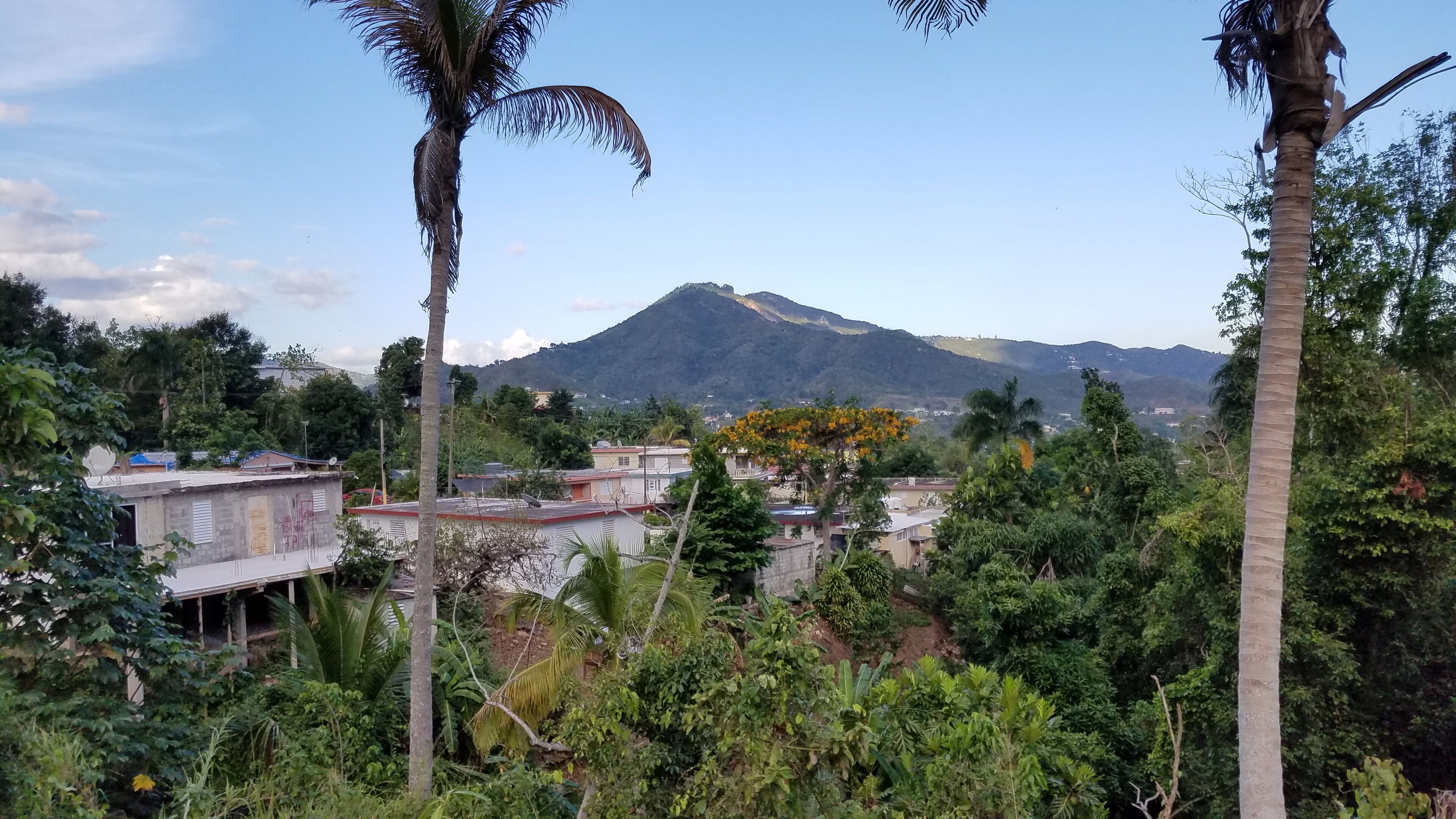 A mountainous landscape with a clear sky, surrounded by lush greenery and residential buildings.