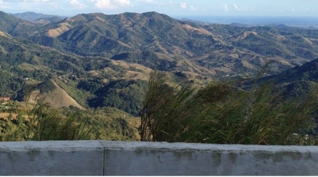 Nice view of the mountains!