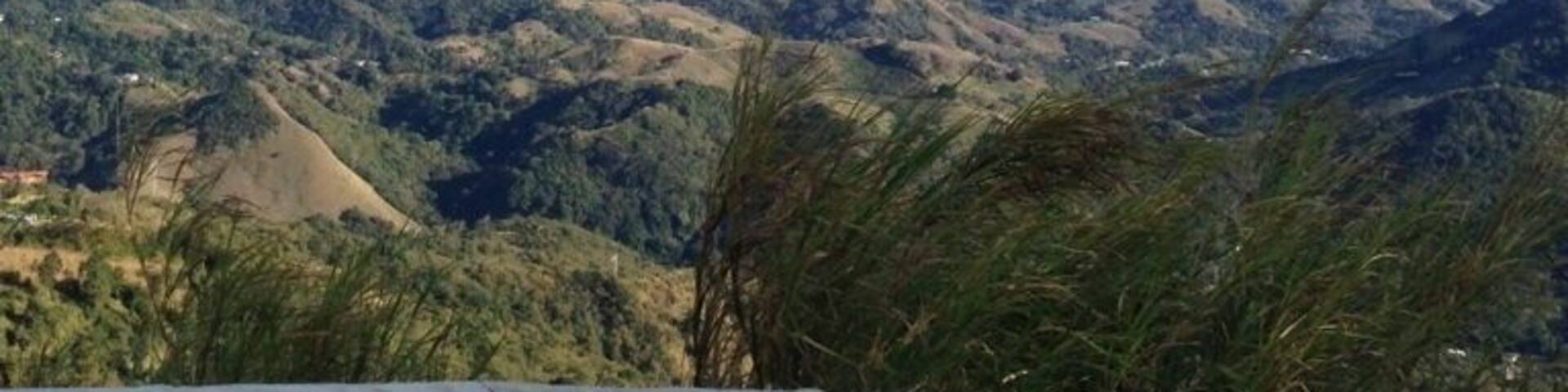 Nice view of the mountains!