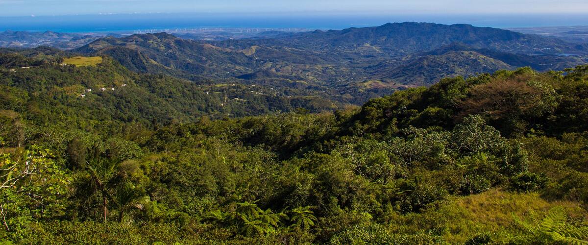 A mountainous landscape with dense greenery and a clear blue sky.